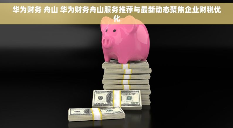 华为财务 舟山 华为财务舟山服务推荐与最新动态聚焦企业财税优化