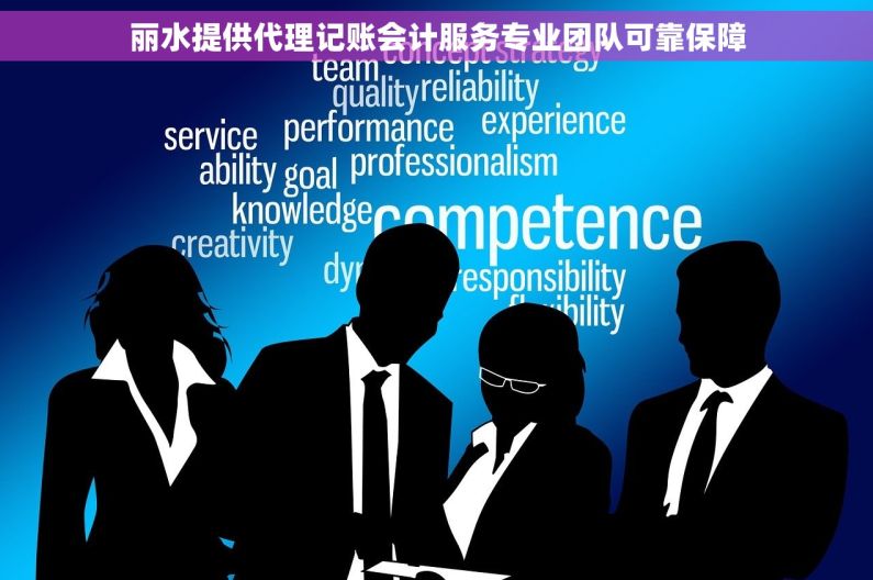 丽水提供代理记账会计服务专业团队可靠保障