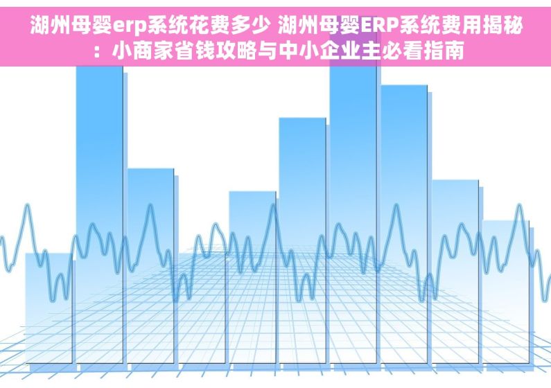 湖州母婴erp系统花费多少 湖州母婴ERP系统费用揭秘：小商家省钱攻略与中小企业主必看指南