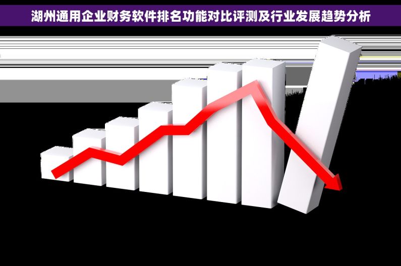 湖州通用企业财务软件排名功能对比评测及行业发展趋势分析