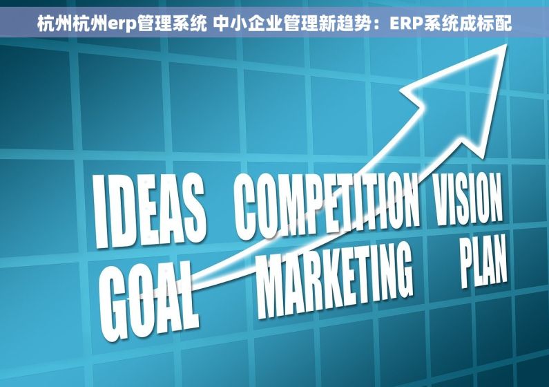 杭州杭州erp管理系统 中小企业管理新趋势：ERP系统成标配