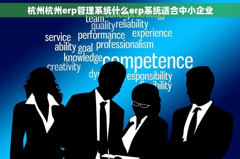 杭州杭州erp管理系统什么erp系统适合中小企业