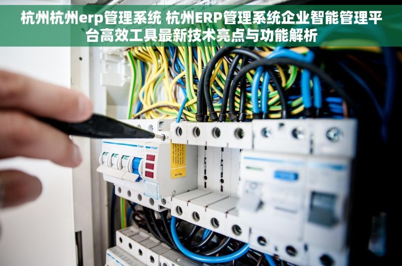 杭州杭州erp管理系统 杭州ERP管理系统企业智能管理平台高效工具最新技术亮点与功能解析