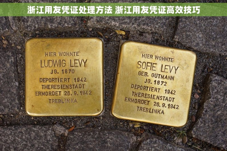 浙江用友凭证处理方法 浙江用友凭证高效技巧