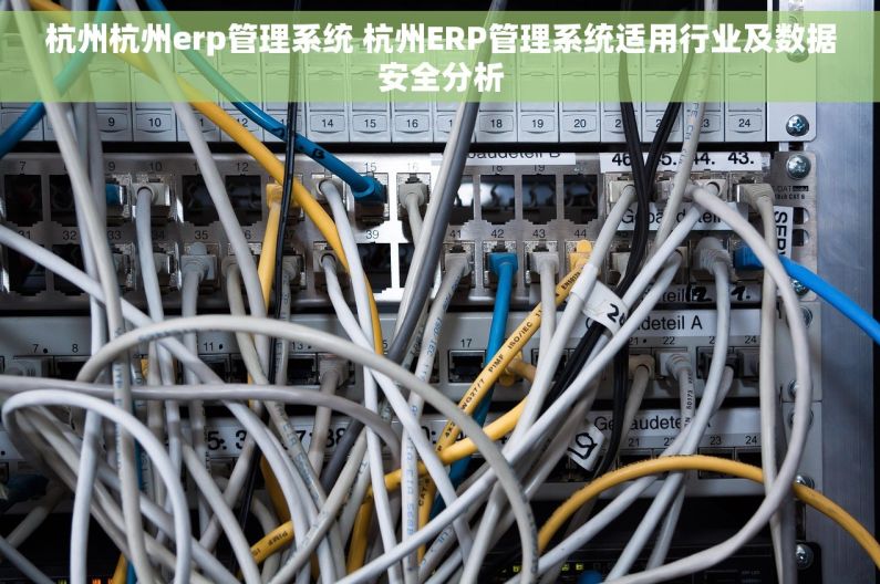 杭州杭州erp管理系统 杭州ERP管理系统适用行业及数据安全分析
