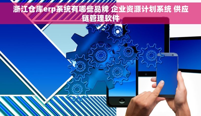 浙江仓库erp系统有哪些品牌 企业资源计划系统 供应链管理软件