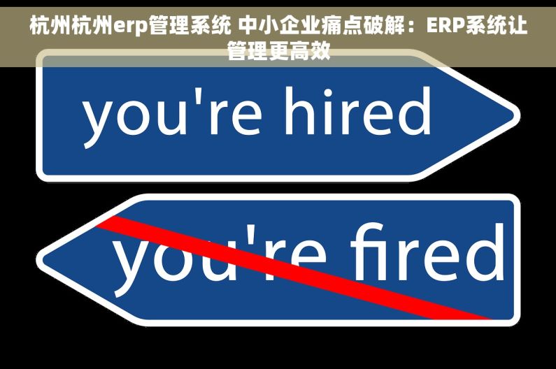 杭州杭州erp管理系统 中小企业痛点破解：ERP系统让管理更高效