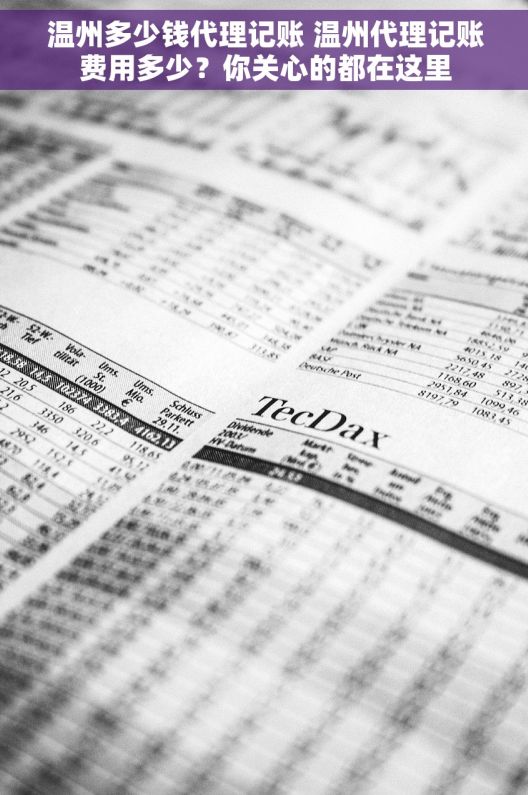 温州多少钱代理记账 温州代理记账费用多少?你关心的都在这里 温州多少钱代理记账 温州代理记账费用多少?你关心的都在这里