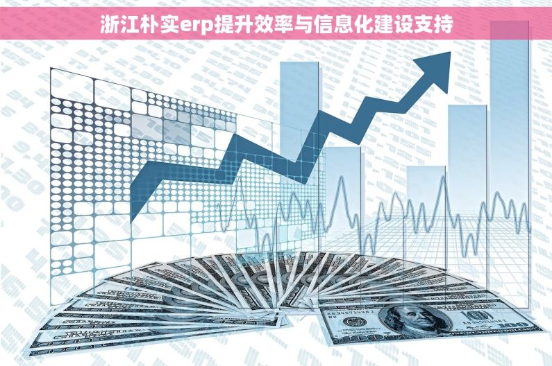 浙江朴实erp提升效率与信息化建设支持