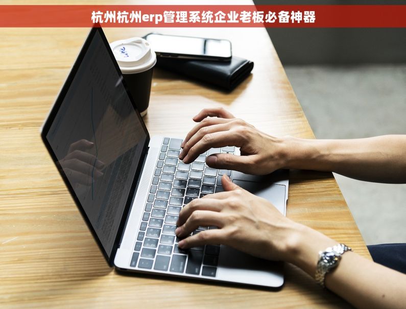 杭州杭州erp管理系统企业老板必备神器