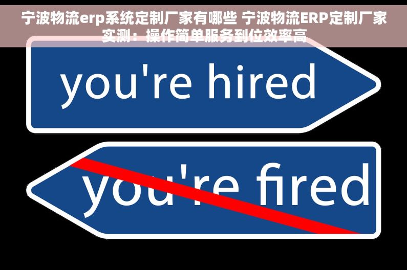宁波物流erp系统定制厂家有哪些 宁波物流ERP定制厂家实测：操作简单服务到位效率高
