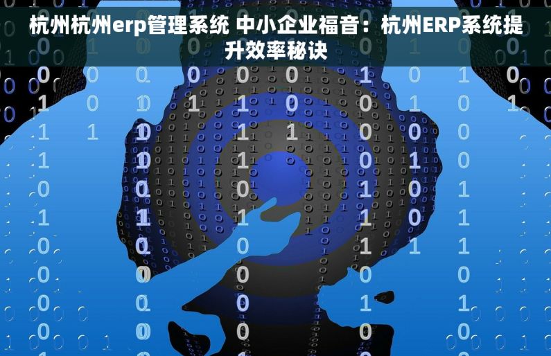 杭州杭州erp管理系统 中小企业福音：杭州ERP系统提升效率秘诀