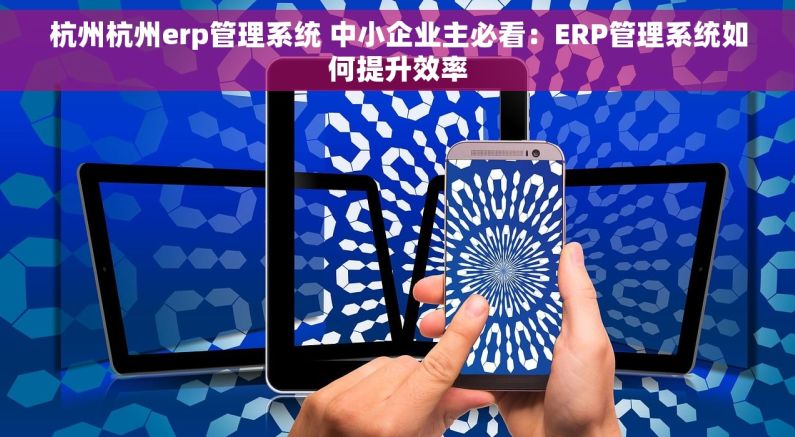 杭州杭州erp管理系统 中小企业主必看：ERP管理系统如何提升效率