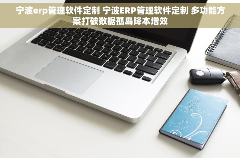 宁波erp管理软件定制 宁波ERP管理软件定制 多功能方案打破数据孤岛降本增效