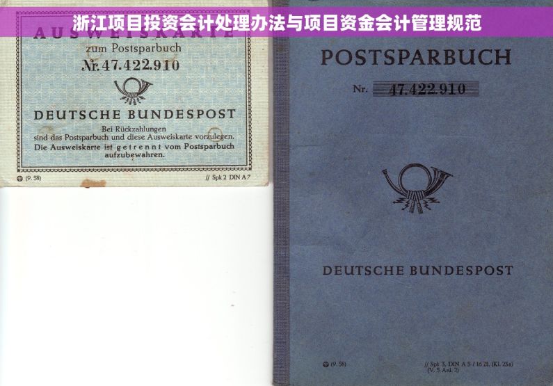 浙江项目投资会计处理办法与项目资金会计管理规范
