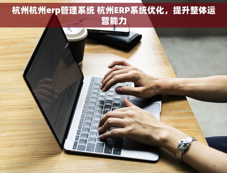 杭州杭州erp管理系统 杭州ERP系统优化，提升整体运营能力