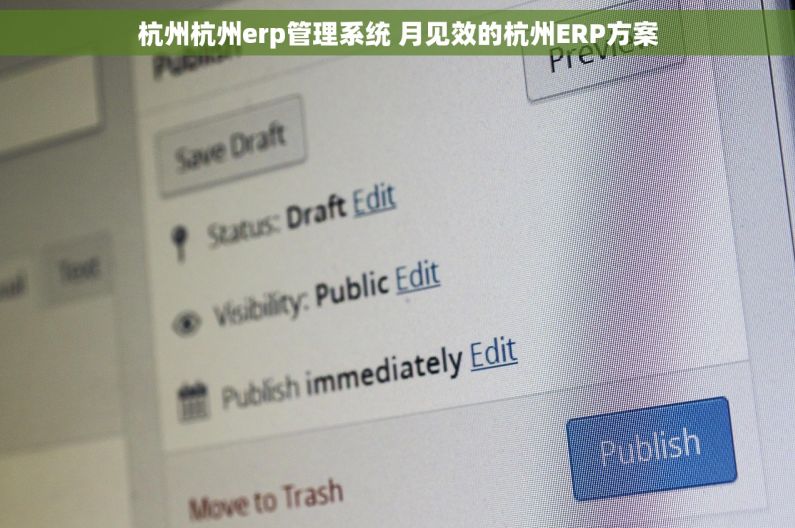 杭州杭州erp管理系统 月见效的杭州ERP方案