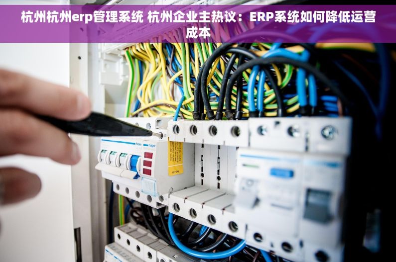 杭州杭州erp管理系统 杭州企业主热议：ERP系统如何降低运营成本