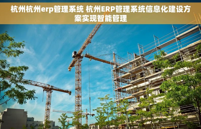 杭州杭州erp管理系统 杭州ERP管理系统信息化建设方案实现智能管理