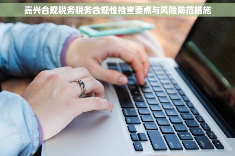 嘉兴合规税务税务合规性检查要点与风险防范措施