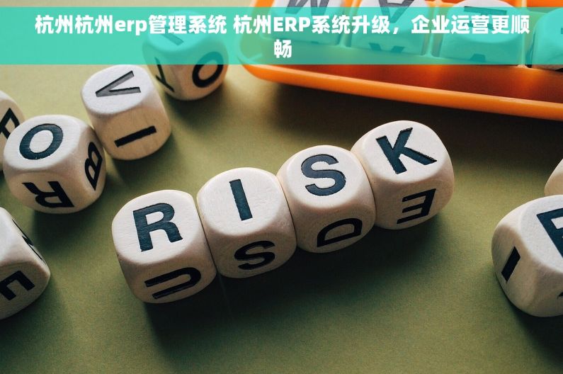 杭州杭州erp管理系统 杭州ERP系统升级，企业运营更顺畅