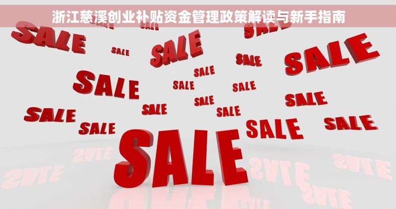 浙江慈溪创业补贴资金管理政策解读与新手指南