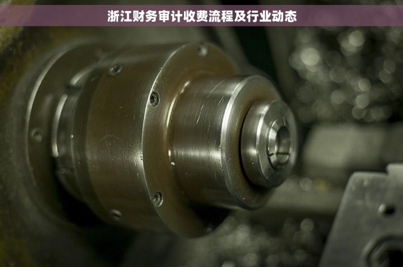 浙江财务审计收费流程及行业动态