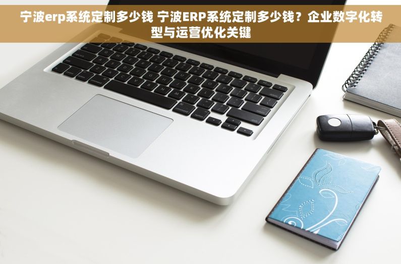 宁波erp系统定制多少钱 宁波ERP系统定制多少钱？企业数字化转型与运营优化关键