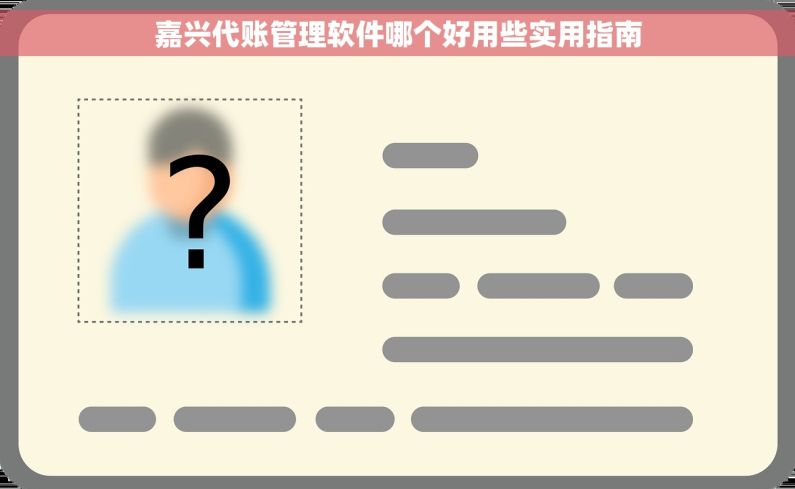 嘉兴代账管理软件哪个好用些实用指南
