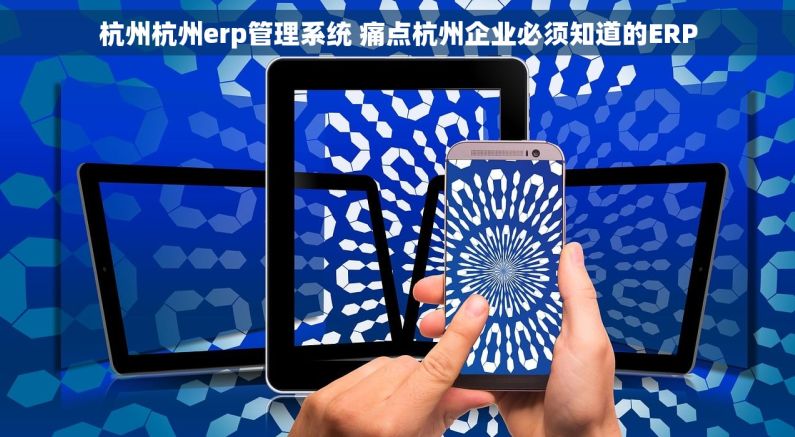 杭州杭州erp管理系统 痛点杭州企业必须知道的ERP