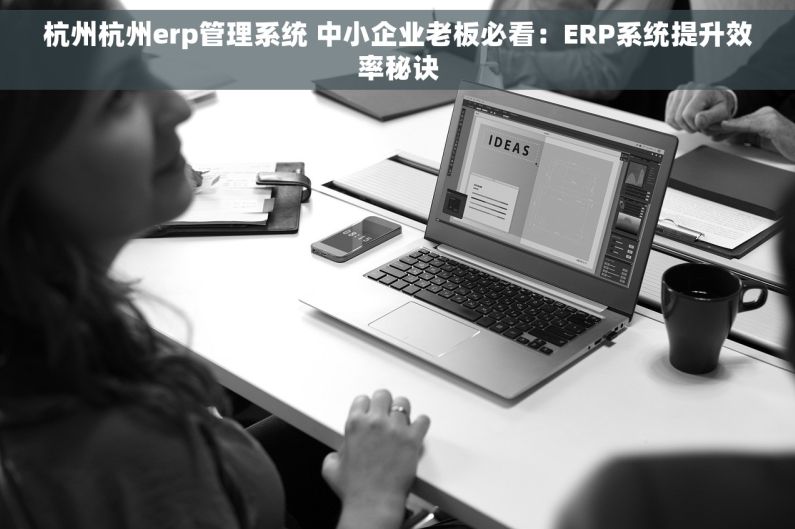 杭州杭州erp管理系统 中小企业老板必看:ERP系统提升效率秘诀 杭州杭州erp管理系统 中小企业老板必看:ERP系统提升效率秘诀