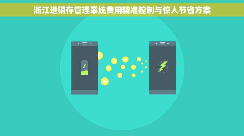 浙江进销存管理系统费用精准控制与惊人节省方案