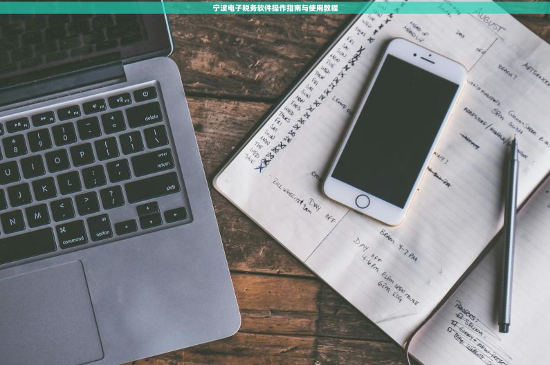 宁波电子税务软件操作指南与使用教程