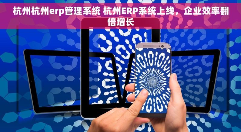 杭州杭州erp管理系统 杭州ERP系统上线，企业效率翻倍增长