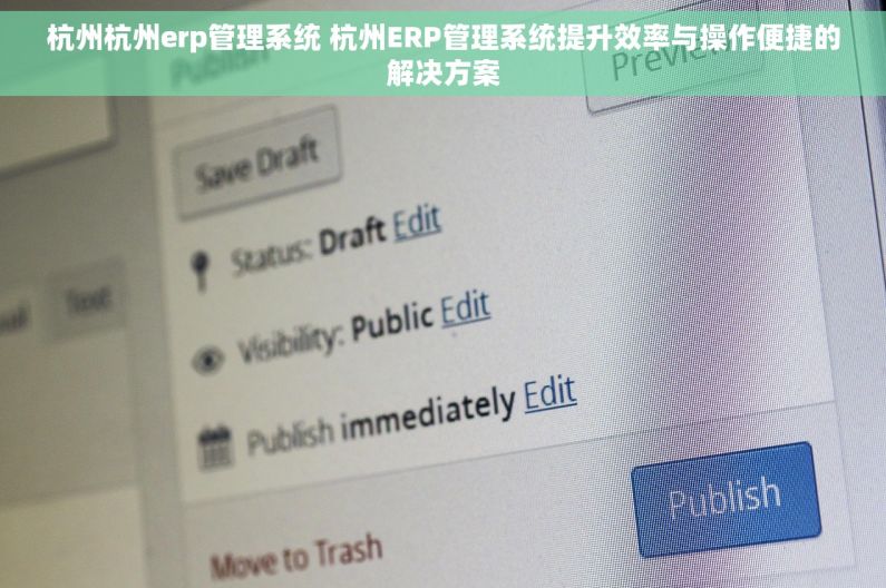 杭州杭州erp管理系统 杭州ERP管理系统提升效率与操作便捷的解决方案
