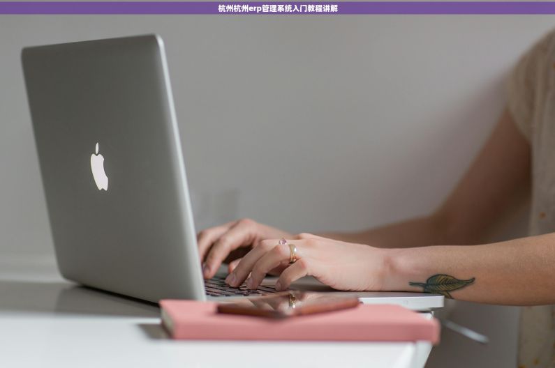 杭州杭州erp管理系统入门教程讲解