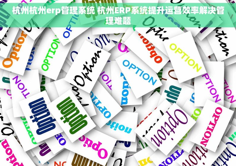 杭州杭州erp管理系统 杭州ERP系统提升运营效率解决管理难题