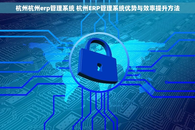 杭州杭州erp管理系统 杭州ERP管理系统优势与效率提升方法