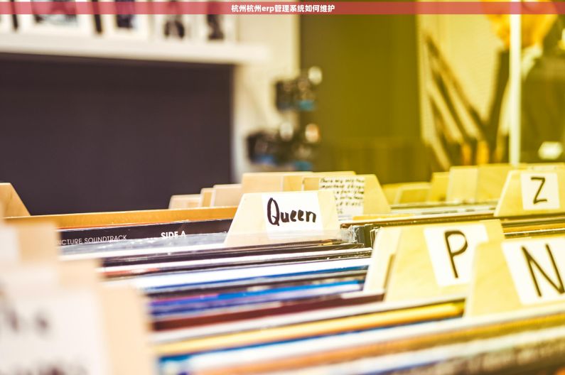 杭州杭州erp管理系统如何维护