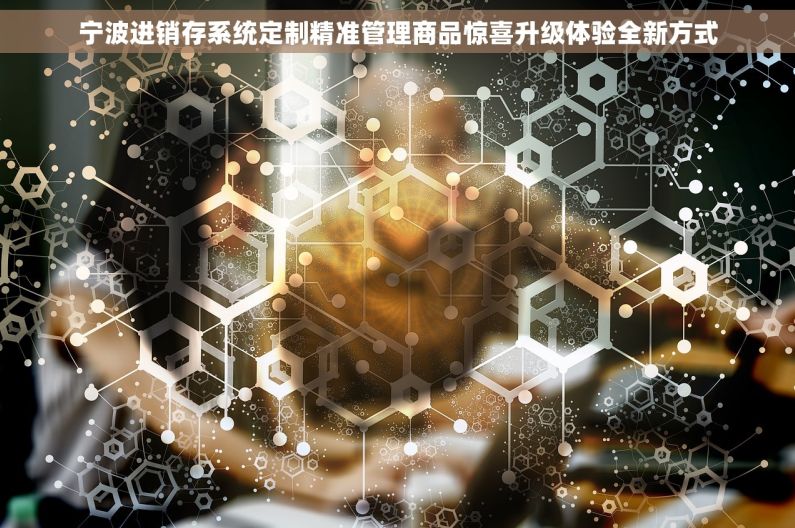 宁波进销存系统定制精准管理商品惊喜升级体验全新方式