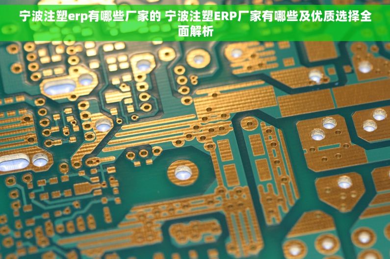 宁波注塑erp有哪些厂家的 宁波注塑ERP厂家有哪些及优质选择全面解析