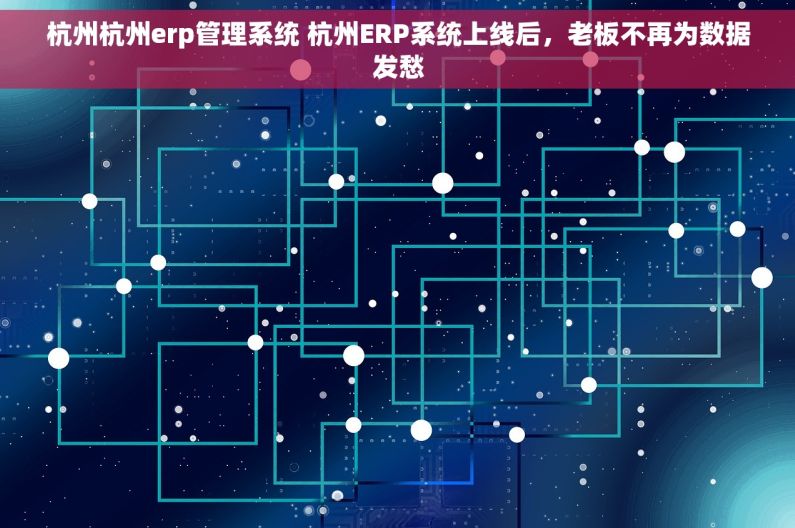 杭州杭州erp管理系统 杭州ERP系统上线后，老板不再为数据发愁