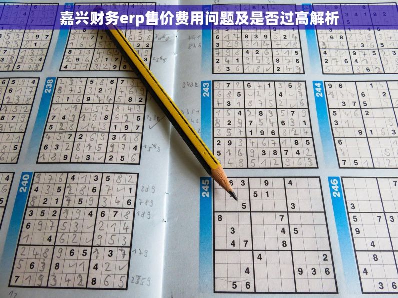 嘉兴财务erp售价费用问题及是否过高解析 嘉兴财务erp售价费用问题及是否过高解析