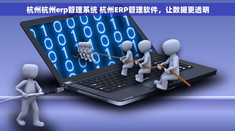 杭州杭州erp管理系统 杭州ERP管理软件,让数据更透明 杭州杭州erp管理系统 杭州ERP管理软件,让数据更透明