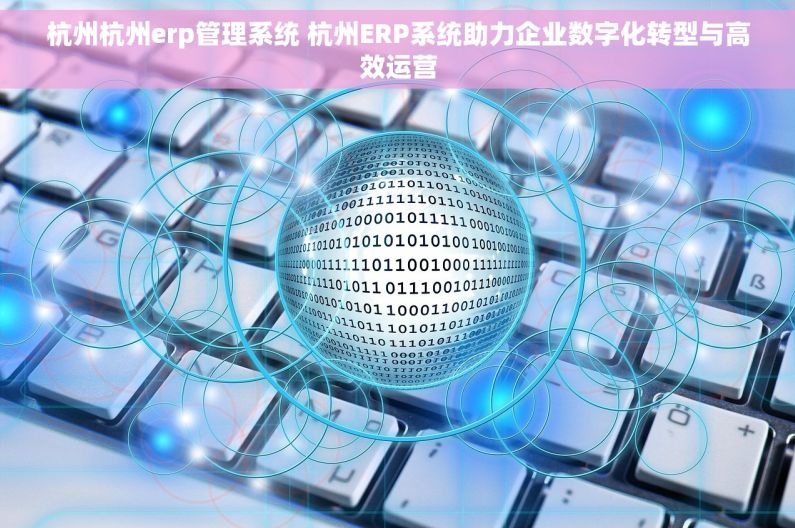 杭州杭州erp管理系统 杭州ERP系统助力企业数字化转型与高效运营