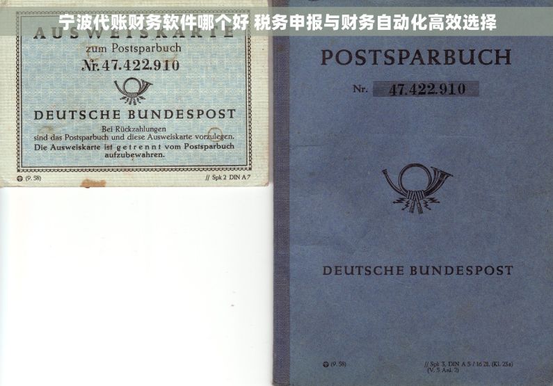 宁波代账财务软件哪个好 税务申报与财务自动化高效选择