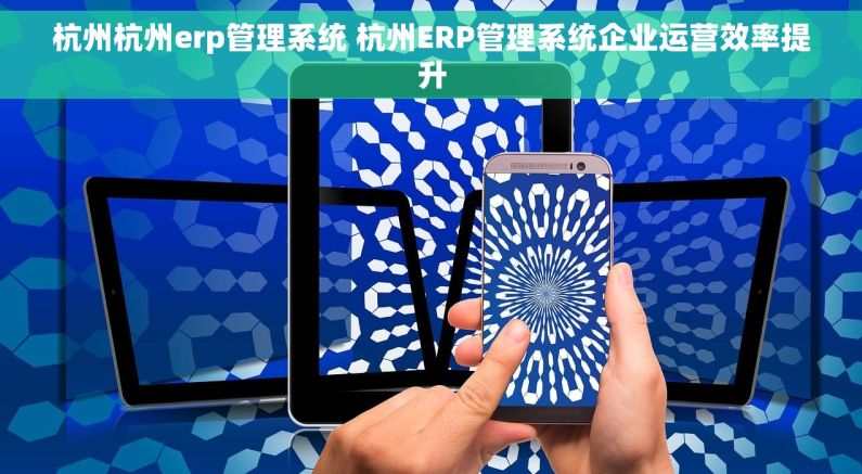 杭州杭州erp管理系统 杭州ERP管理系统企业运营效率提升 杭州杭州erp管理系统 杭州ERP管理系统企业运营效率提升