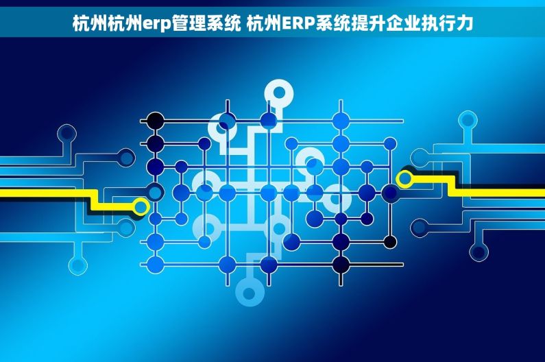 杭州杭州erp管理系统 杭州ERP系统提升企业执行力