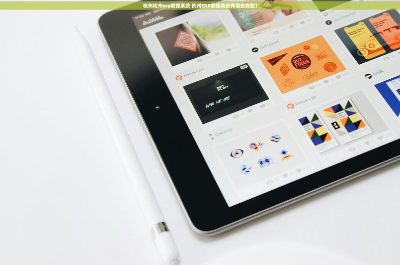 杭州杭州erp管理系统 杭州ERP管理系统有哪些类型? 杭州杭州erp管理系统 杭州ERP管理系统有哪些类型?