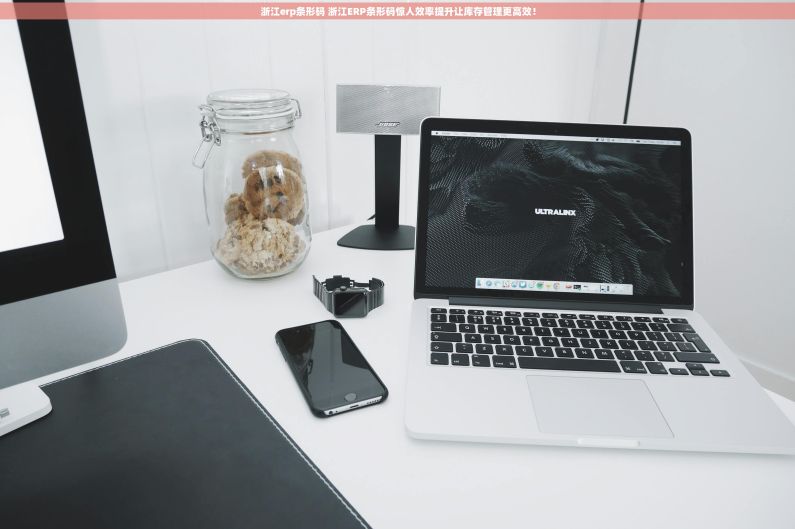 浙江erp条形码 浙江ERP条形码惊人效率提升让库存管理更高效! 浙江erp条形码 浙江ERP条形码惊人效率提升让库存管理更高效!